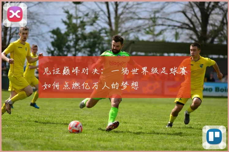 见证巅峰对决：一场世界级足球赛如何点燃亿万人的梦想